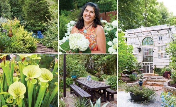Beautiful garden scene with lush greenery and a greenhouse.