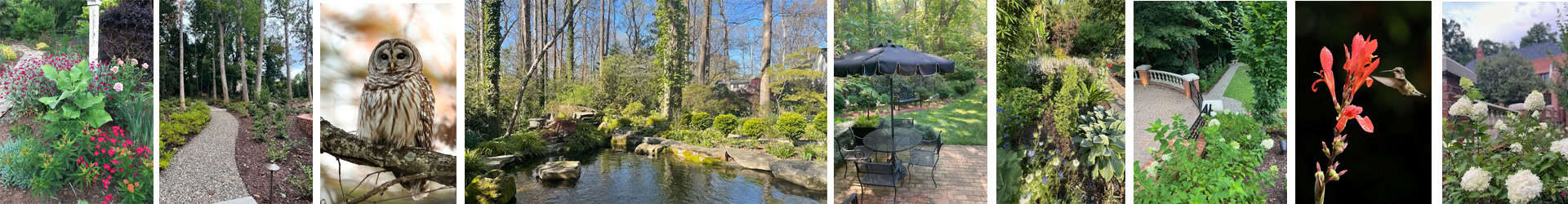 Ellen Mary on Houseplants for Wellbeing