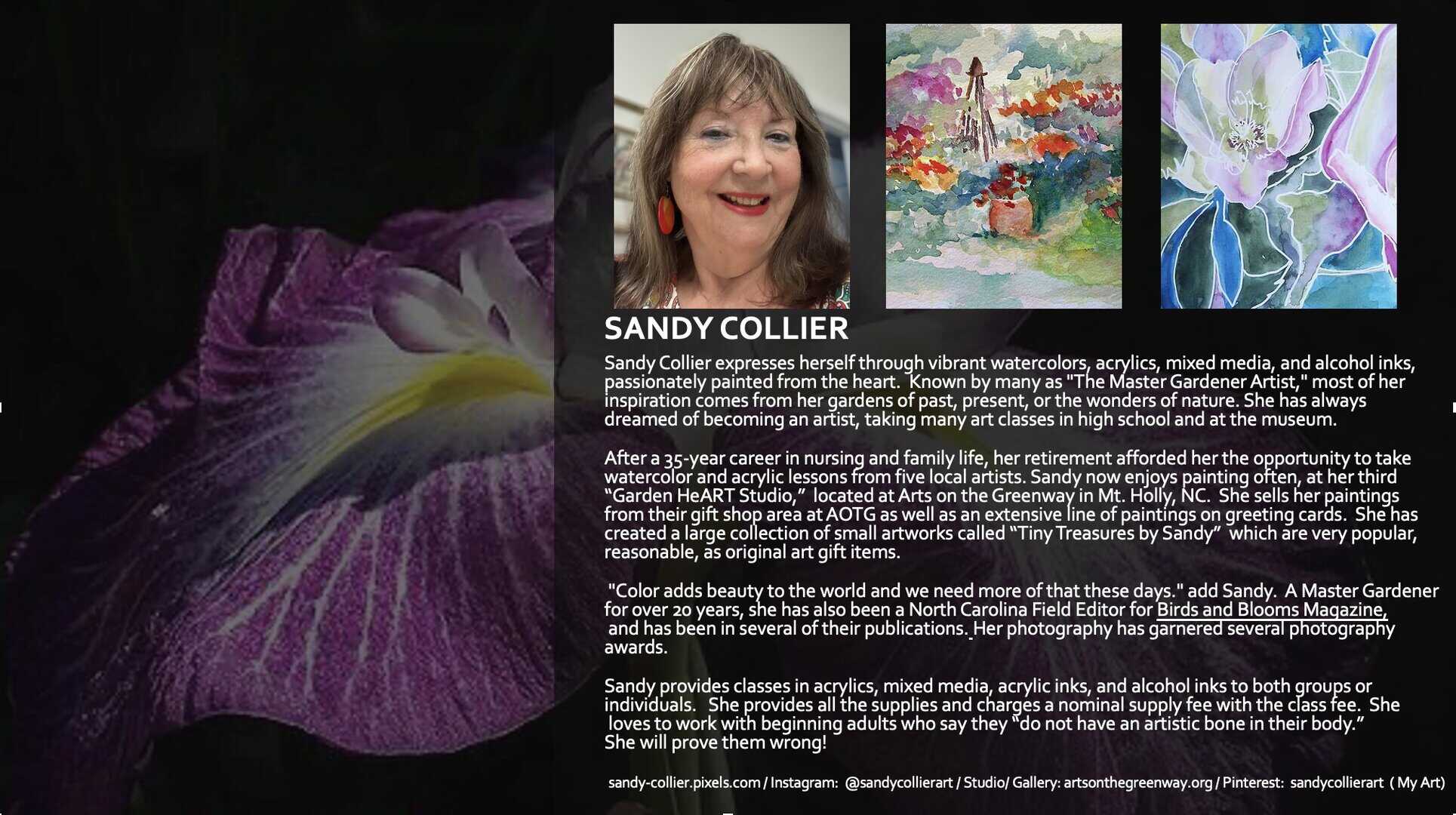 Vibrant watercolor of garden scene by Sandy Collier.